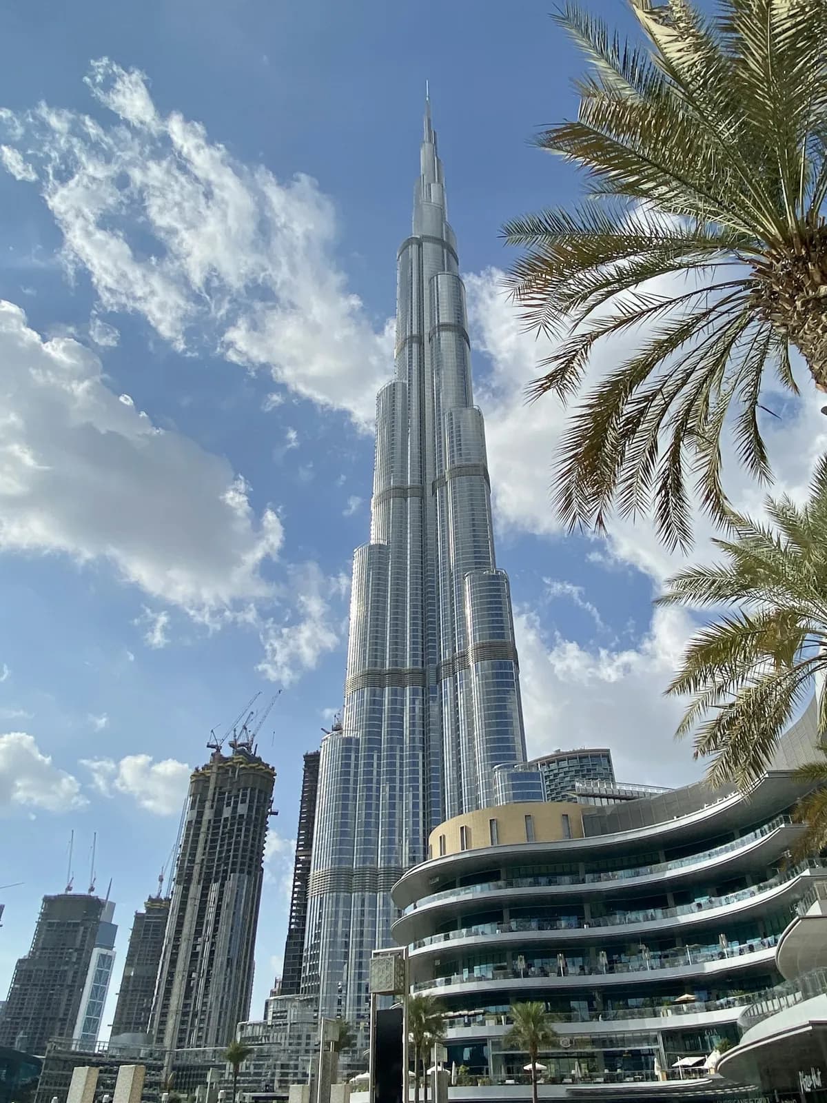 The Burj Khalifa above palm trees, Dubai