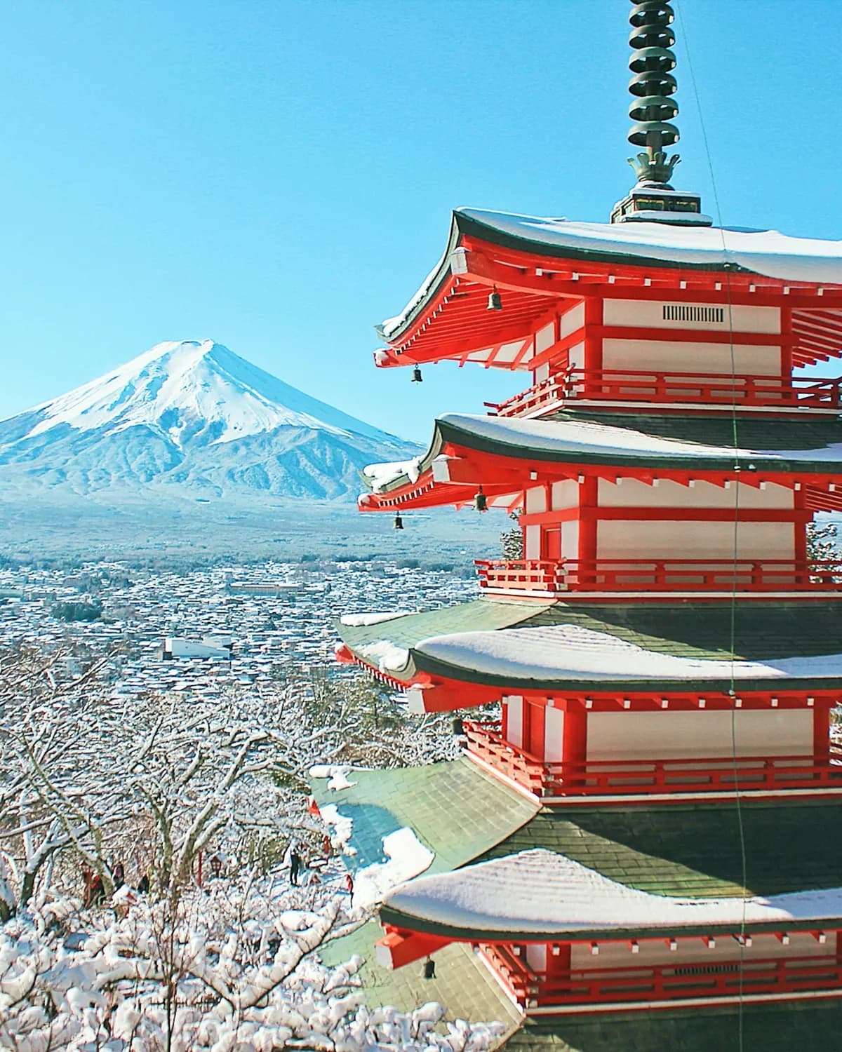 The Chureito Pagoda above snow-covered trees, with Mount Fuji behind