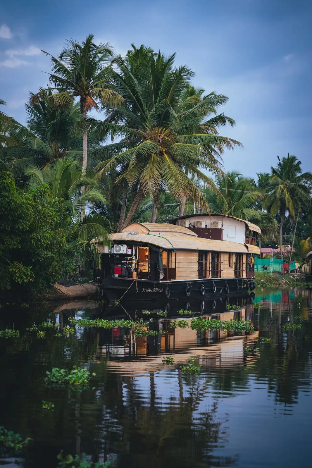 A houseboat under palms on the Kerala backwaters