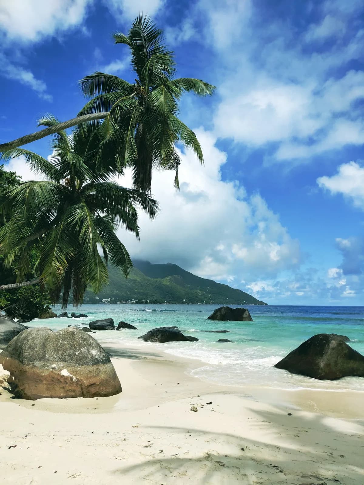 Palms and granite boulders on a white-sand beach, Seychelles