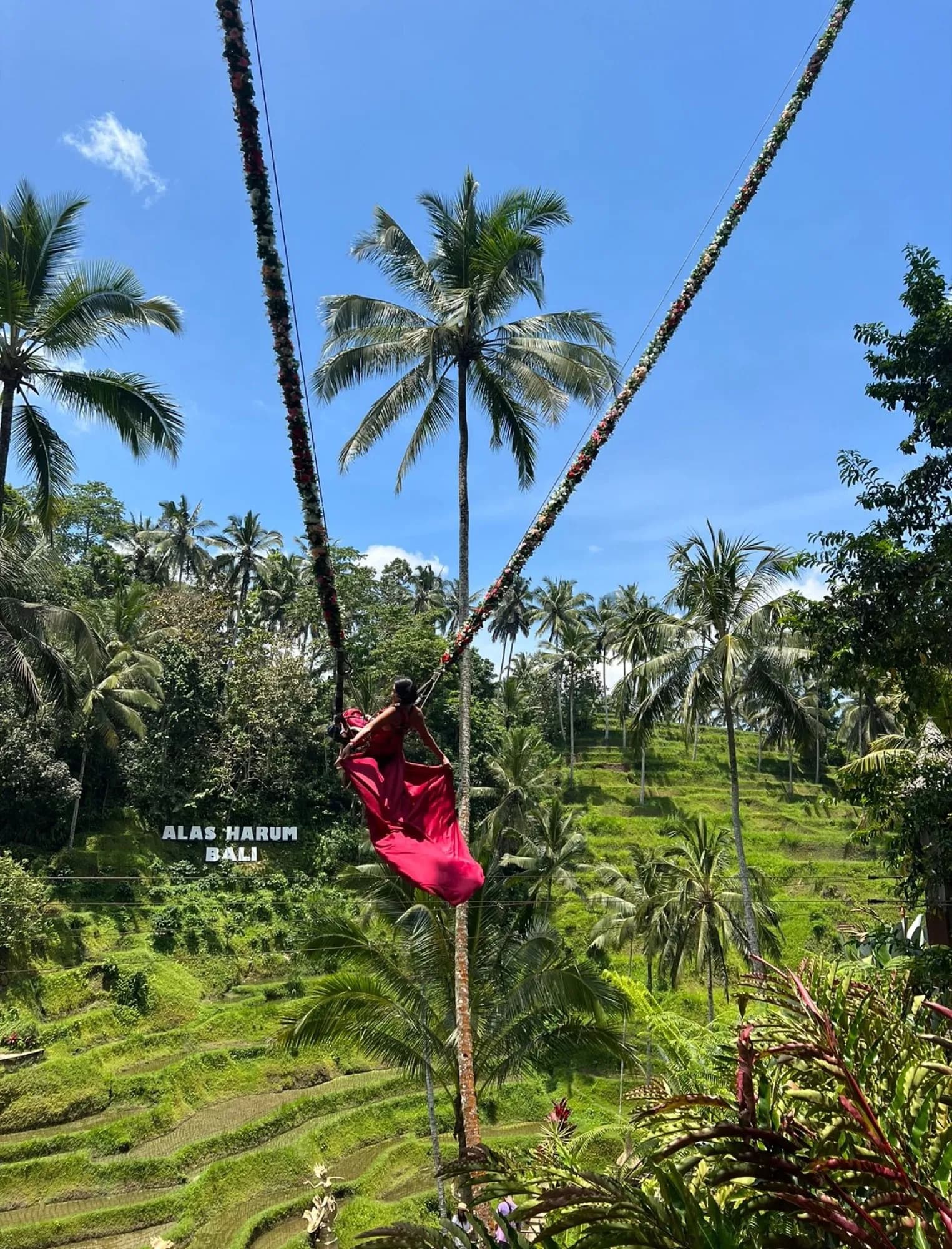 The Alas Harum jungle swing over the rice terraces, Bali