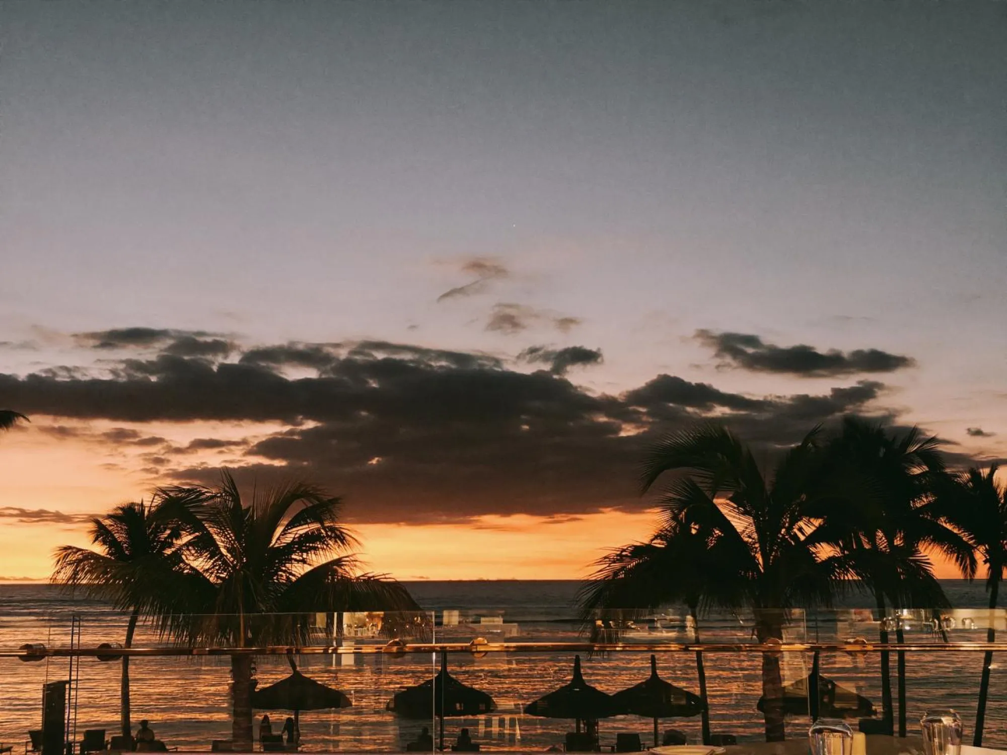 Palms against the sunset, Mauritius