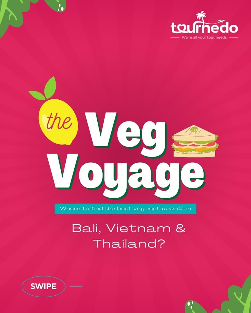 Instagram post: The veg voyage: Bali, Vietnam and Thailand